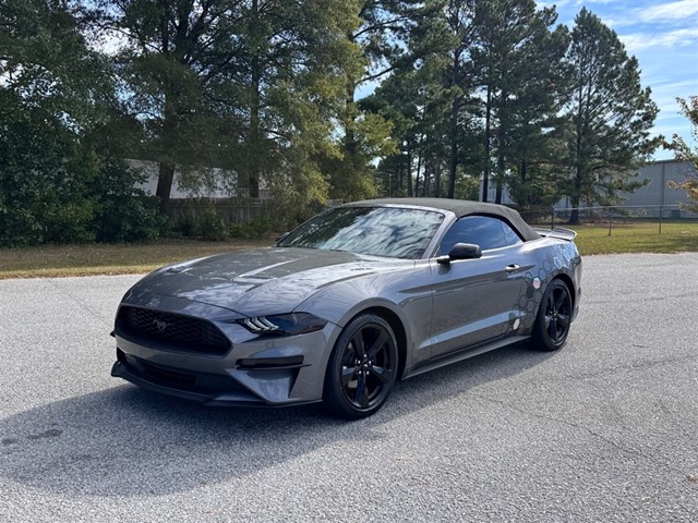 Ford Mustang EcoBoost Premium Convertible in Smithfield