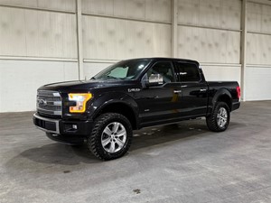 2015 Ford F-150 Platinum SuperCrew 4WD for sale by dealer