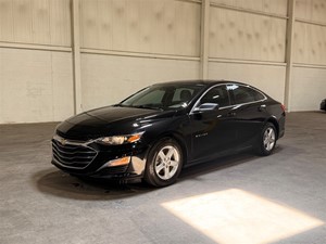 2023 Chevrolet Malibu 1FL for sale by dealer