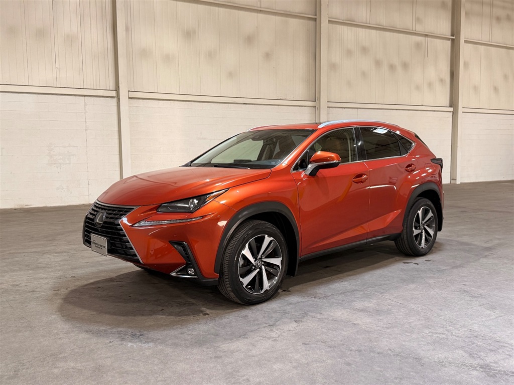 2020 Lexus NX 350 300 AWD's photo