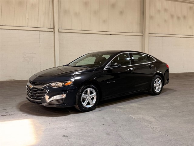 Chevrolet Malibu 1LT in Smithfield