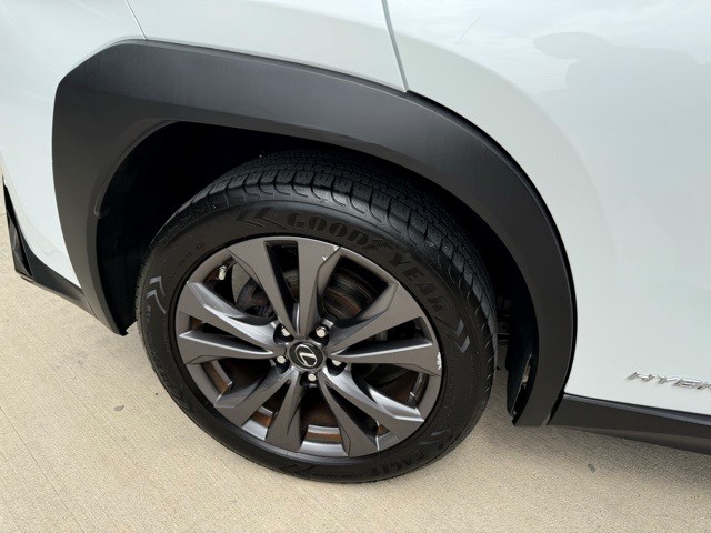 2019 Lexus UX 250h Premium F SPORT photo 21
