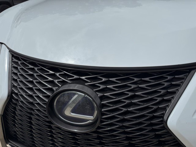 2019 Lexus UX 250h Premium F SPORT photo 41