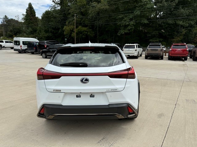 2019 Lexus UX 250h Premium F SPORT photo 6