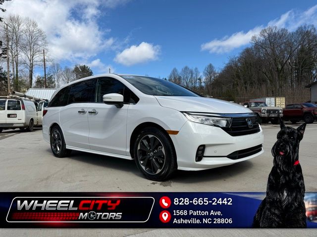 2024 Honda Odyssey Elite