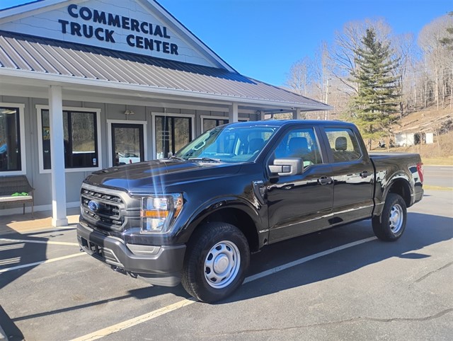 FORD F150 XL 4WD CREW CAB in 