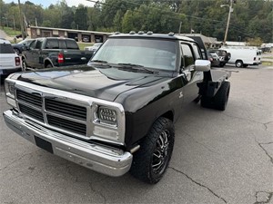 1993 DODGE D-350 DRW for sale by dealer