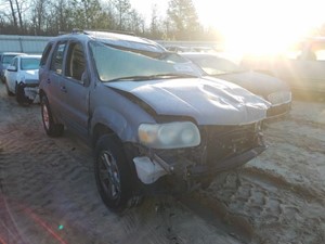 2007 FORD ESCAPE XLT for sale by dealer