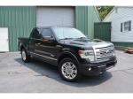 2013 Ford F-150 Platinum SuperCrew 5.5-ft. Bed 4WD
