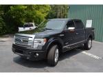 2013 Ford F-150 Platinum SuperCrew 5.5-ft. Bed 4WD