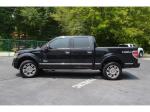 2013 Ford F-150 Platinum SuperCrew 5.5-ft. Bed 4WD