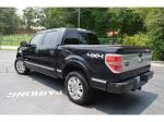 2013 Ford F-150 Platinum SuperCrew 5.5-ft. Bed 4WD