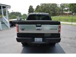 2013 Ford F-150 Platinum SuperCrew 5.5-ft. Bed 4WD