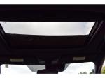 2019 Honda Civic Pic 1695_V2025051515180227