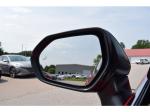 2020 Toyota Camry Pic 1695_V2025052914032539