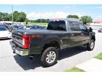 2018 Ford F-250 Sd Pic 1695_V202506171201165