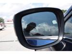 2023 Mazda Cx-5 Pic 1695_V2025070513474716