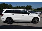 2018 Mercedes-Benz Gls-Class Pic 1695_V2025070811573512