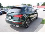 2018 Audi Sq5 Pic 1695_V202507291255597