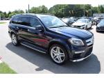 2015 Mercedes-Benz Gl-Class Pic 1695_V202507291302447