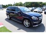 2015 Mercedes-Benz Gl-Class Pic 1695_V202507291302448