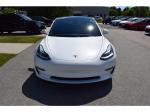2018 Tesla Model 3 Awd Long Range Pic 1695_V202508291410338