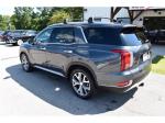 2020 Hyundai Palisade Pic 1695_V202509091511083