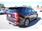 2021 Hyundai Palisade Pic 1695_V2025100314325710