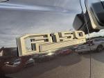 2019 Ford F-150 Pic 1695_V2025100714040028