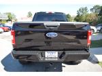 2019 Ford F-150 Pic 1695_V202510071404004