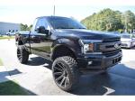 2019 Ford F-150 Pic 1695_V202510071404007