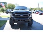 2019 Ford F-150 Pic 1695_V202510071404008