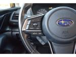 2023 Subaru Crosstrek Pic 1695_V2025103113343323