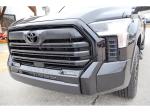 2024 Toyota Tundra Pic 1695_V2026010211375341