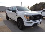 2021 Ford F-150 Pic 1695_V202601201202289