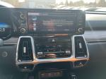 2021 Kia Sorento Pic 1695_V202601301152138
