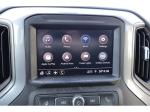 2021 Chevrolet Silverado 1500 Pic 1695_V2026021814162932