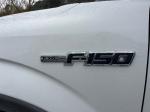 2014 Ford F-150 Pic 1695_V2026022513561310