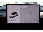 2021 Tesla Model Y Pic 1695_V2026031915531429