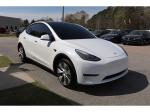 2021 Tesla Model Y Pic 1695_V202603191553147