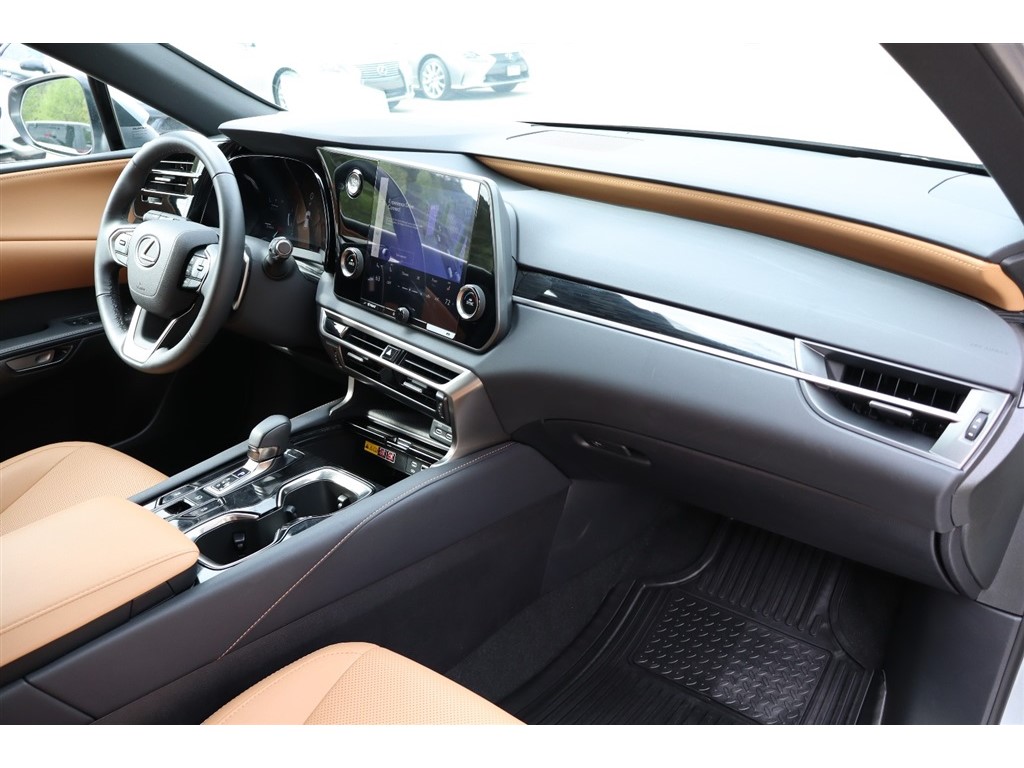 2025 Lexus RX 350 - Photo 21