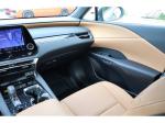 2025 Lexus Rx Pic 1695_V2026040311121426