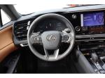 2025 Lexus Rx Pic 1695_V2026040311121428