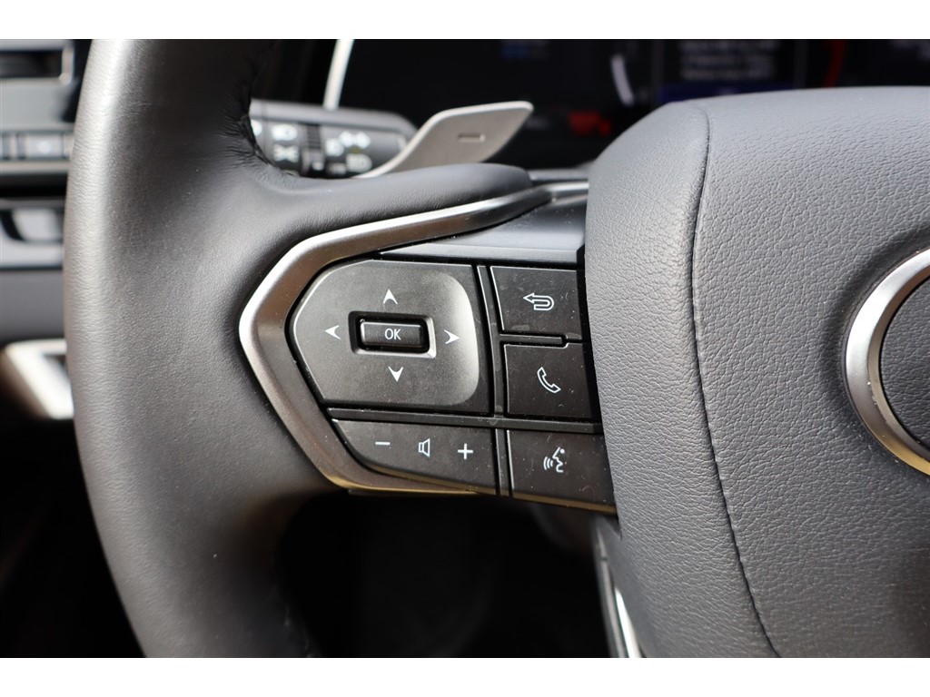 2025 Lexus RX 350 - Photo 36