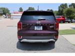 2021 Hyundai Palisade Pic 1695_V202604081825514