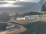 2014 Ford F-150 Pic 1695_V202604251134175