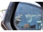 2019 Toyota Tacoma Pic 1695_V2026052713373022
