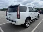 2017 Cadillac Escalade Pic 1695_V202605271629322