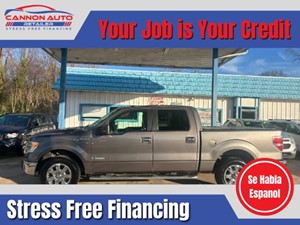 2014 Ford F-150 XLT for sale by dealer