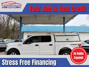 2019 Ford F-150 XL for sale by dealer